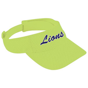 Athletic Mesh Visor